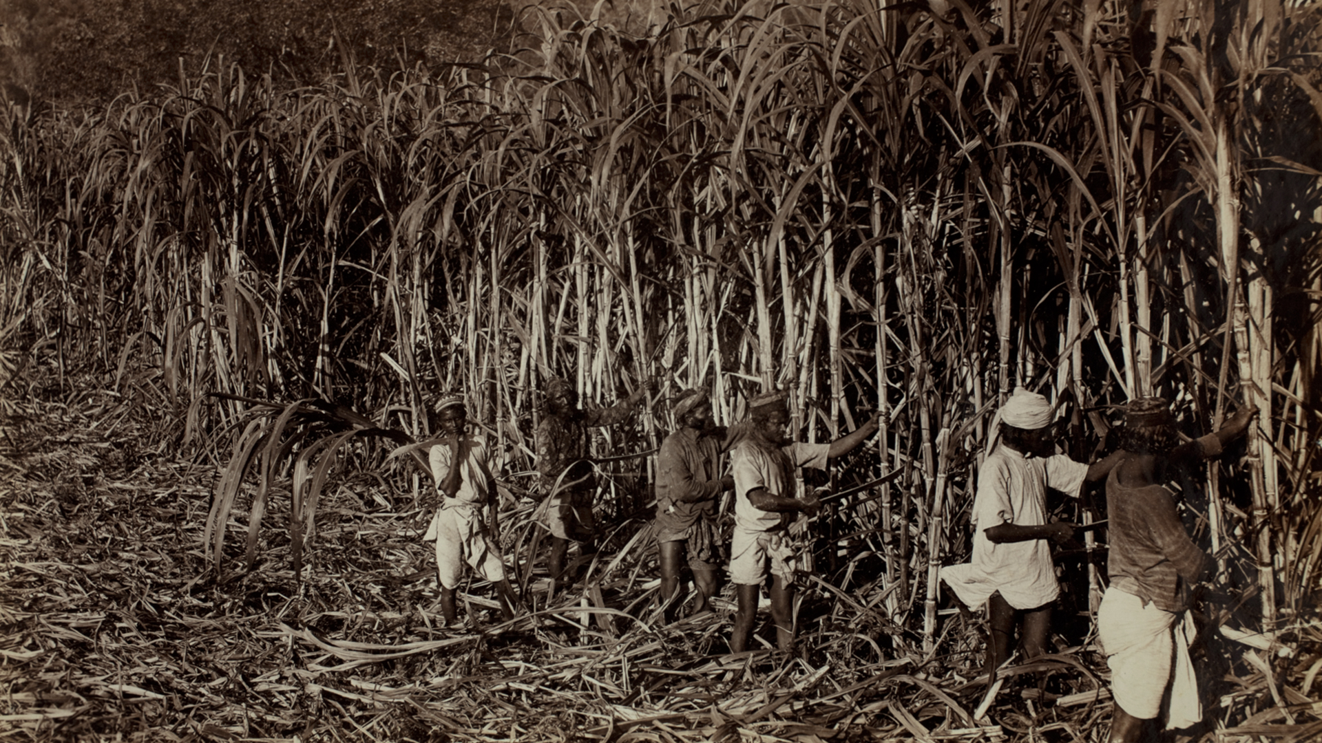 1860: Roots of an Indian community